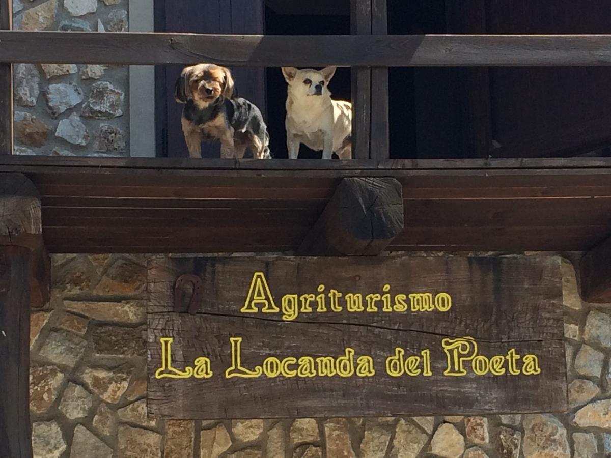 La Locanda Del Poeta Acri Exterior photo